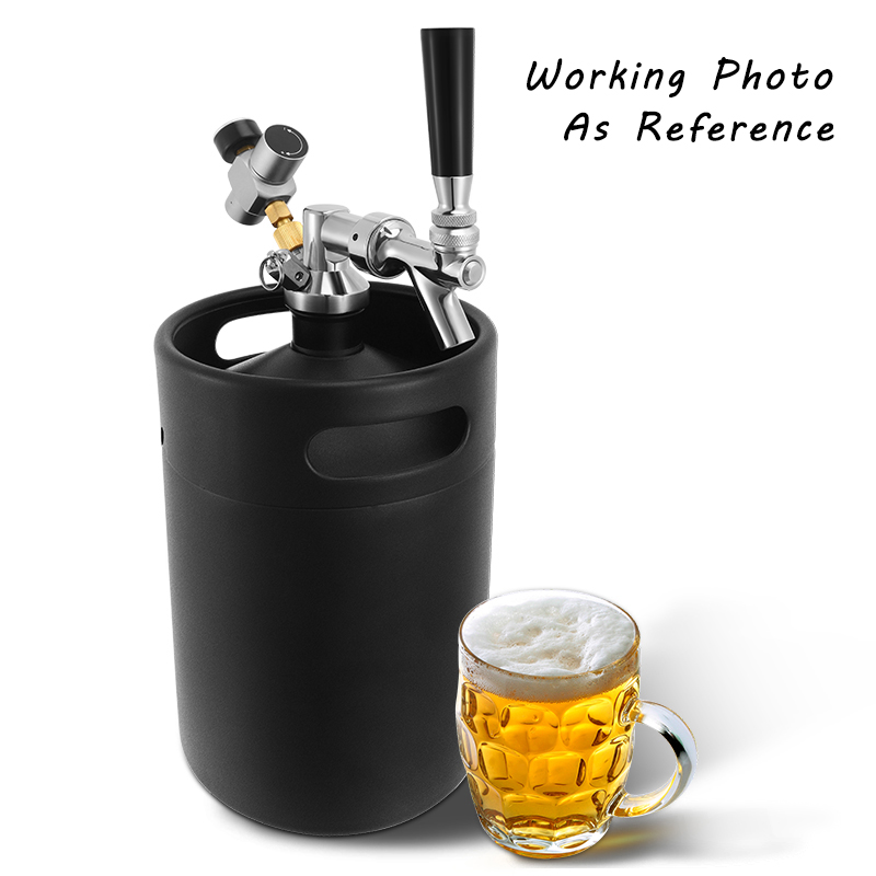 ELECQUEEN Mini Keg 5l, Matte B - Craft Beer & Wine U- recension och pris